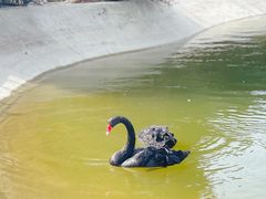-静之湖度假区