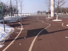 -丁香湖公园