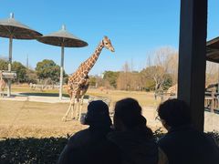 -宁波野生动物园