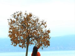 -大理洱海