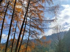 -硗碛藏寨·神木垒景区