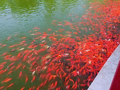 -西海子公园