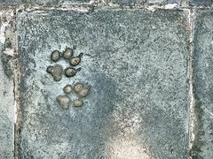 -永乐宫