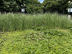 -大连植物园
