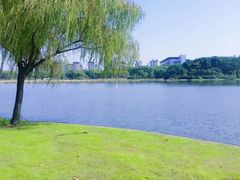 -东华大学(松江校区)