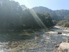 -姑婆山旅游区