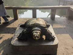 -西园戒幢律寺