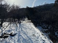 -北京西山国家森林公园