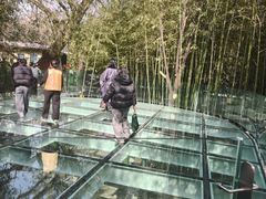 -竹泉村旅游度假区