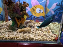 -太平洋海底世界