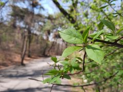 -沈阳辉山风景区
