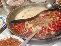 -朱光玉火锅馆(正弘城店)