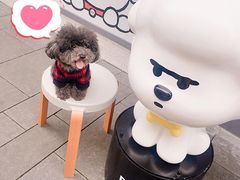 -Seesaw Coffee(上生新所店)
