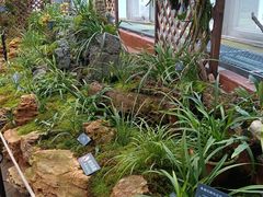 -国家植物园南园