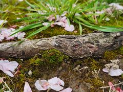 -上海滴水湖皇冠假日酒店