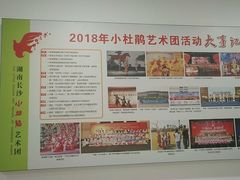 -长沙市青少年宫