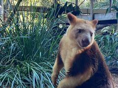 -费瑟代尔野生动物园