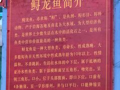 -年辉渔村·非遗传承餐厅(新丰江店)