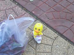 -宾朋海鲜美食特色餐厅·纯手工鲅鱼水饺(兴海路店)