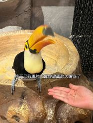 -Zoolung Zoolung动物主题公园(海信广场店)