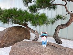 -罗红摄影艺术馆