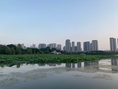 -月湖风景区