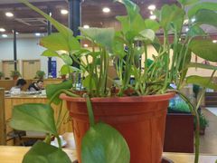 -大长金韩国料理