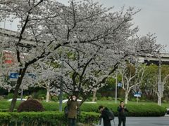 -上海南浦大桥长途旅游客运站