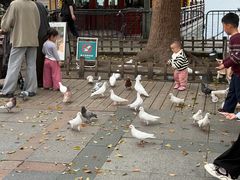 -满记甜品(湖滨店)