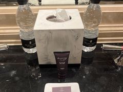 -广州富力丽思卡尔顿酒店