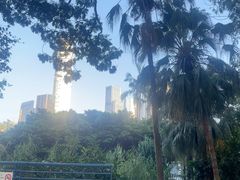 -九龙公园