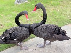 -雅达·阳羡溪山小镇中心