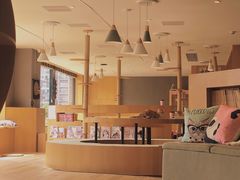 -CAT’S MEWSTAR CAFE·喵星球猫屋(晴湾咖啡店)