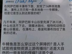 -阿萨巴斯卡瀑布观景点