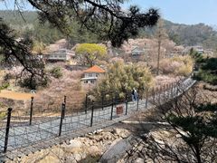 -崂山九水游览区