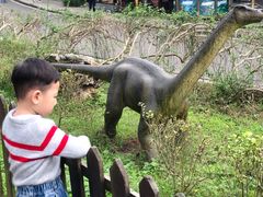 -自贡恐龙博物馆