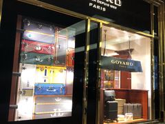 -Goyard 高雅德(国贸商城店)