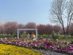 -江苏三台山国家森林公园
