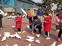 -泉城欧乐堡海洋极地世界