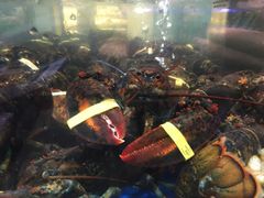 波士顿龙虾-盒马鲜生(莱蒙都会店)