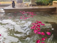 -嘉兴清池酒店温泉