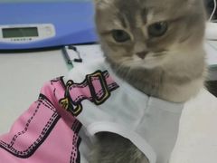 -嘉馨宠物医院·CT影像转诊·心脏科·犬猫全科诊疗中心(下沙大学城院区)