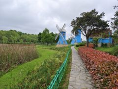 -宜兴龙背山森林公园