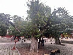 -北京国子监胡同