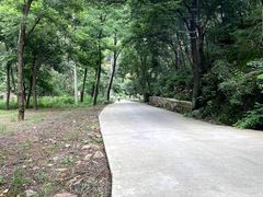 -湖洞水自然风景区