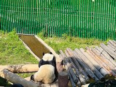 -沈阳森林动物园