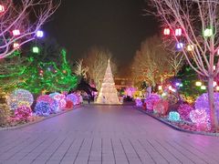 -南宫五洲植物乐园