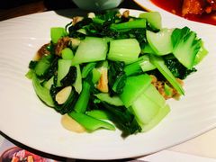 油渣上海青-韵秋荷(宝山龙湖天街店)