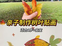 -荔香公园