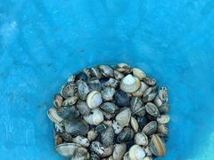 -天津东疆湾沙滩景区